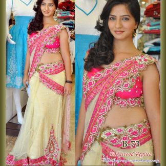 Actress Nisha Shah Wearing a Beautiful Net Saree-0